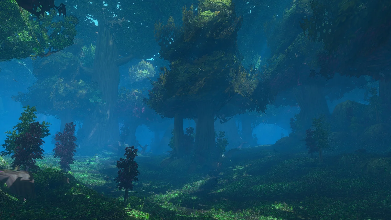 An immense green forest filled with blue mist in an official World of Warcraft: Forever screenshot.